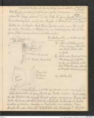 Seite 13, Tagebuch "Paläolithstation | Lang-Mannersdorf | Parzelle 1329" (NHMW-PRAE-BBB-18)